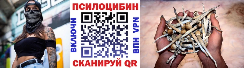 Псилоцибиновые грибы мицелий  Купить закладки  Снежногорск 